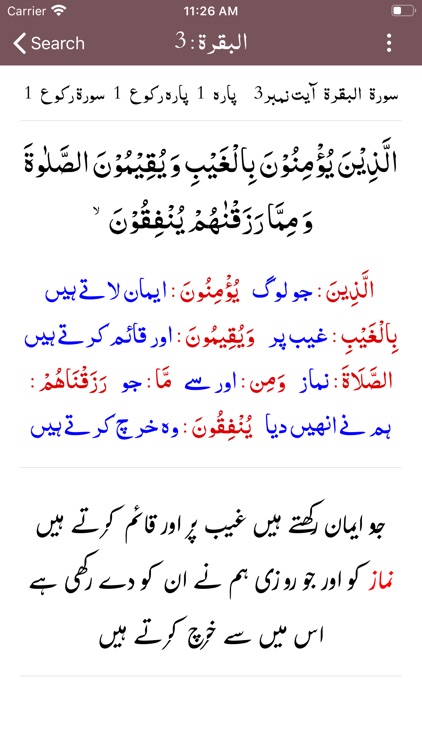 Mualim ul Irfan Tafseer Quran screenshot-3
