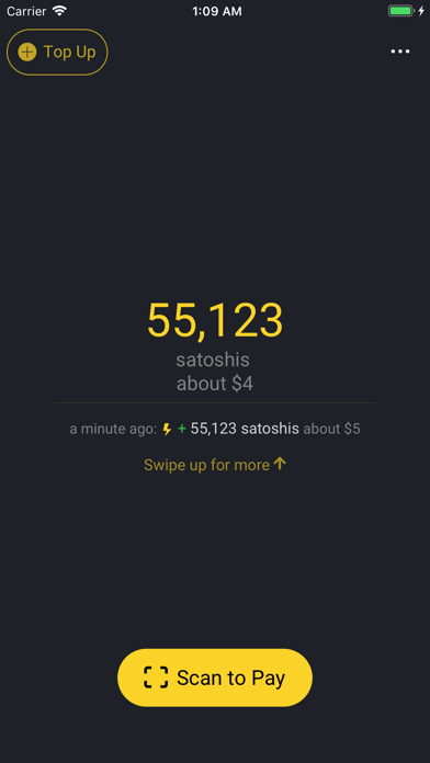 Wallet of Satoshi screenshot 2