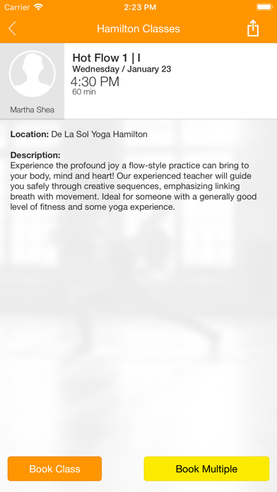 De La Sol Yoga - Hamilton screenshot 4