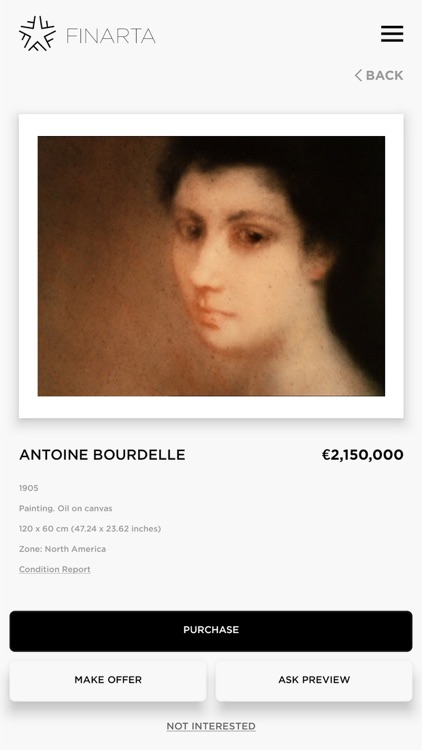 Finarta screenshot-4