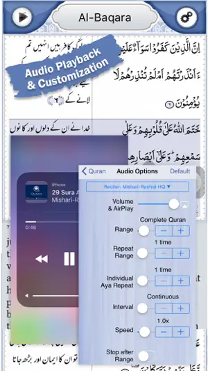 Quran Explorer screenshot 3