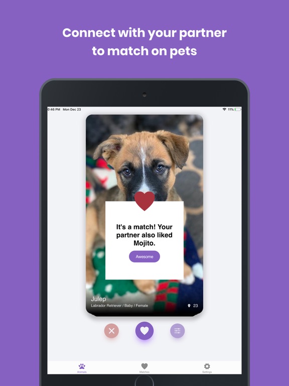 Screenshot #6 pour Petly App