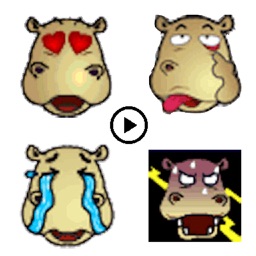Animated Hippo Emoji stickers