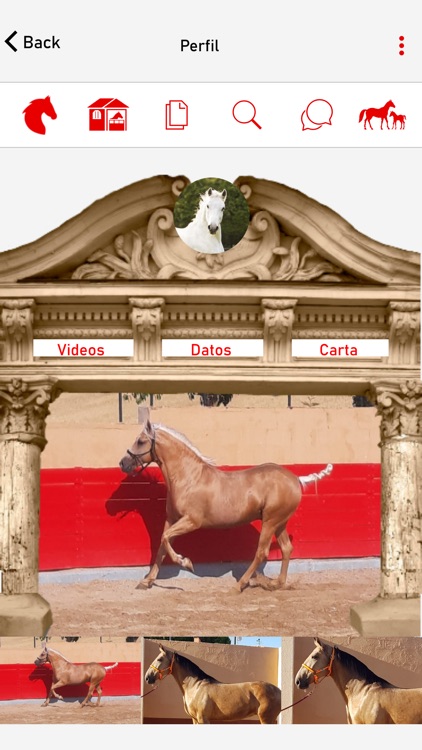 CUADRA: your horse box online screenshot-4