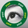 Pupil monitor