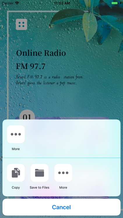 Brazil FM 97.7 screenshot-3
