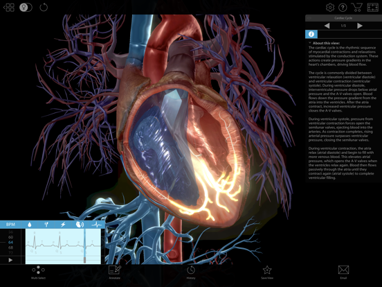 Physiology & Pathology iPad app afbeelding 1