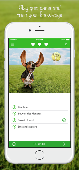 ‎Снимка на екрана на iKnow Dogs 2 PRO