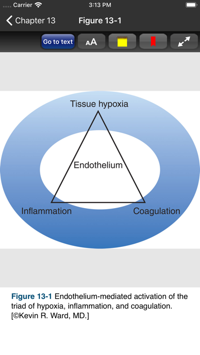 Tintinalli's ER Study Guide 9E Screenshot