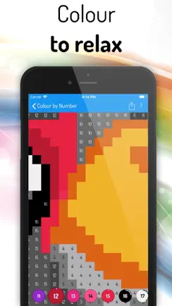 Color by Number Pro iPhone image 3