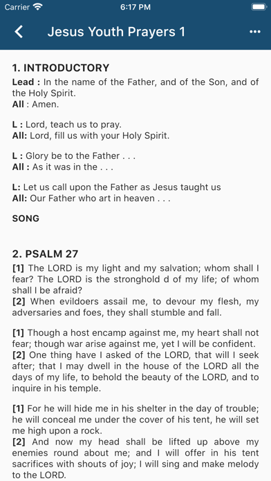 Jesus Youth Prayers Screenshot