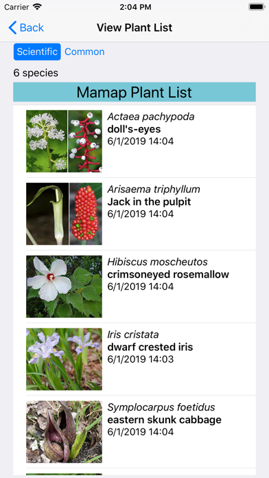 Virginia Wildflowers Screenshot