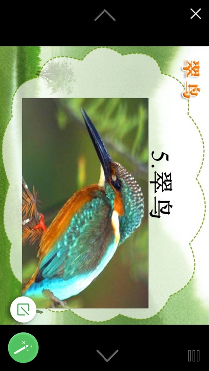 DCAMPUS教师移动端7.4.10