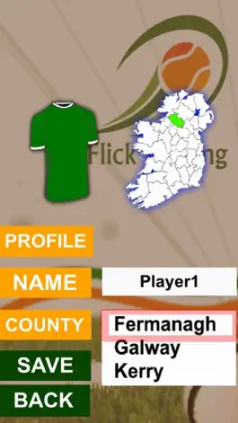 Game screenshot Flick Hurling apk