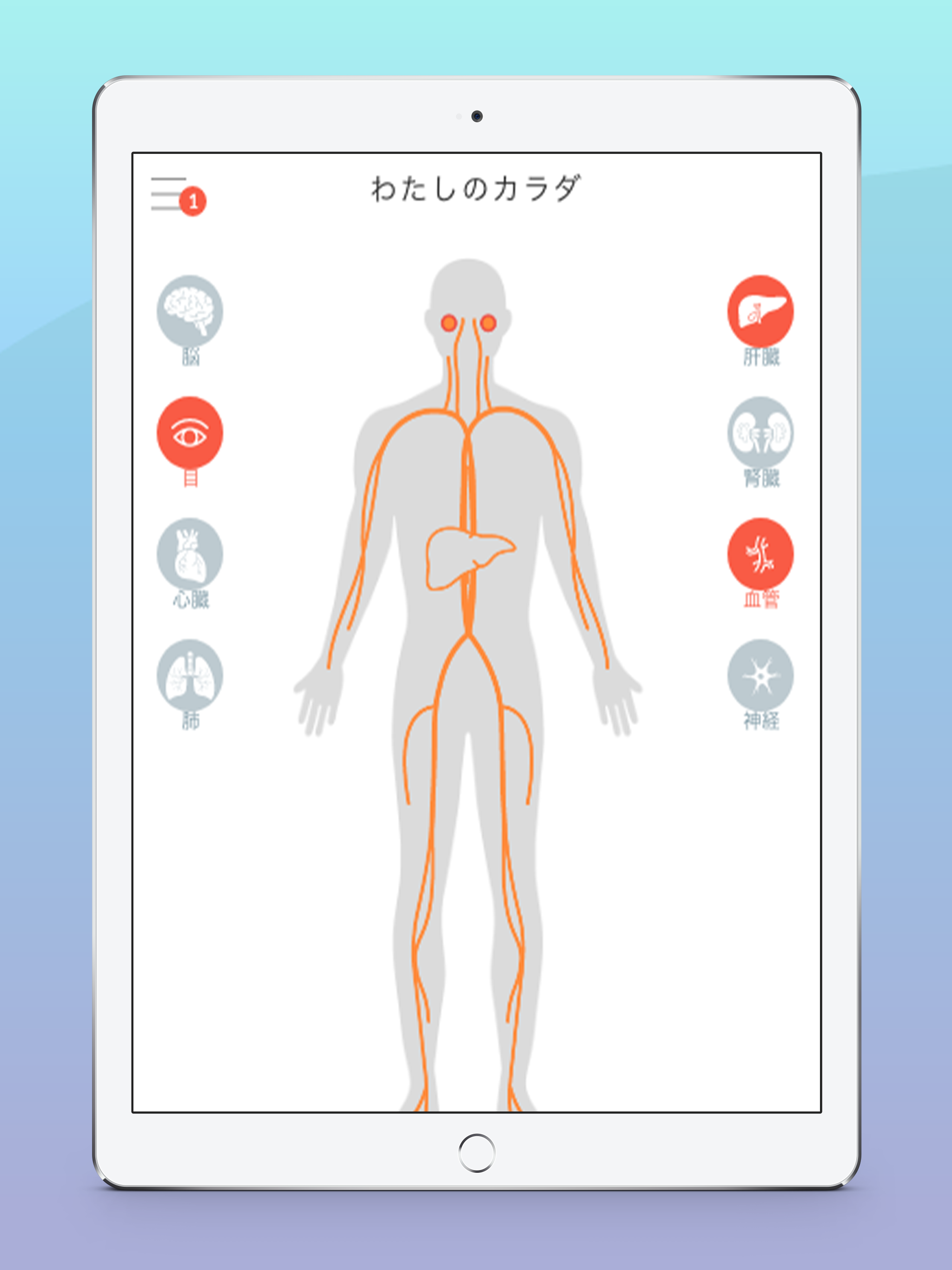 MIRAMED screenshot 8