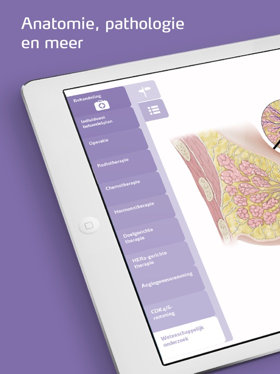 Borstkanker Zorgatlas