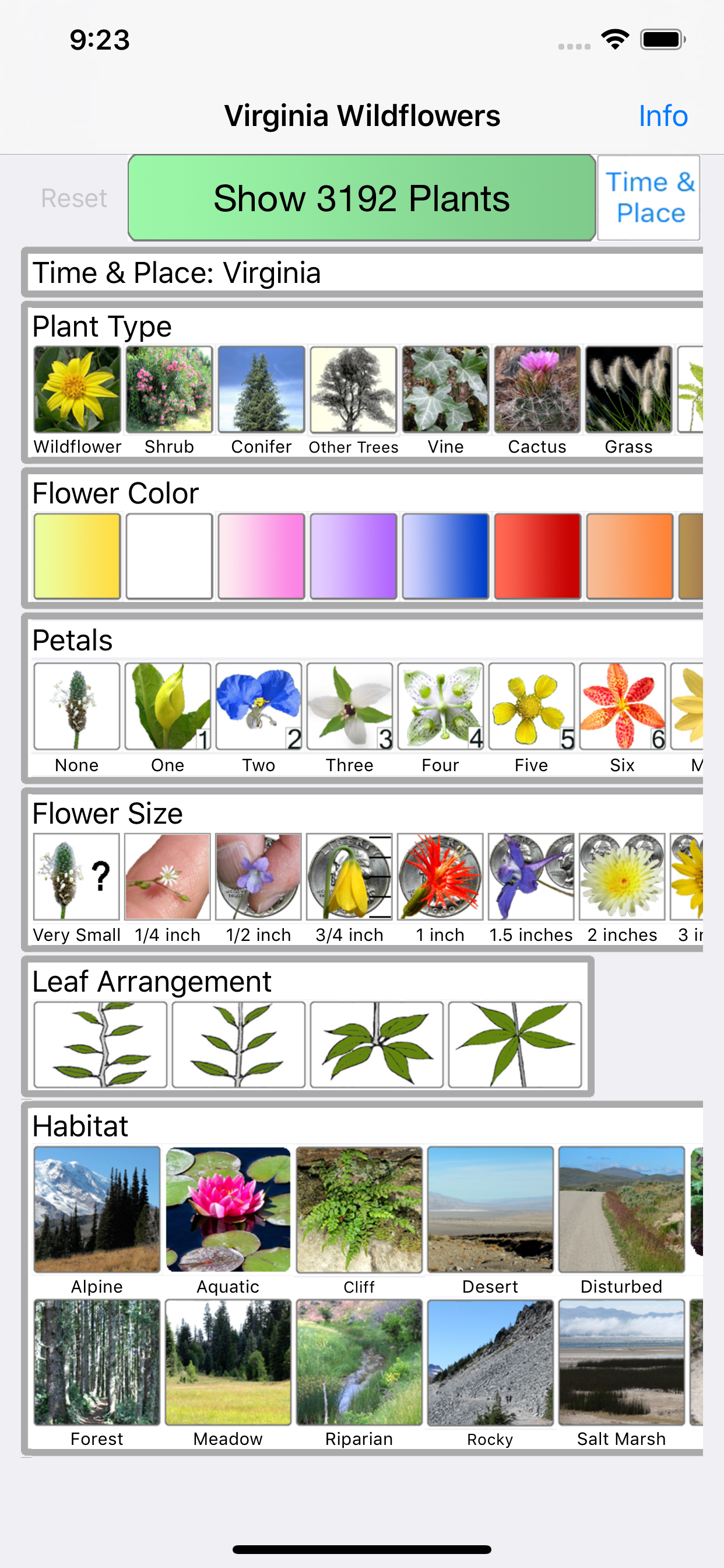 Virginia Wildflowers