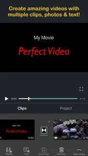 perfect video problems & solutions and troubleshooting guide - 1