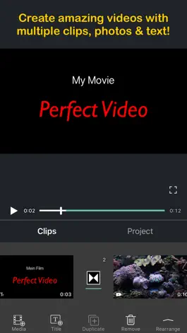 Game screenshot Perfect Video apk