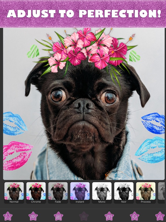 Glitter Effect For Pictures iPad screenshot 4 - Photo & Video app