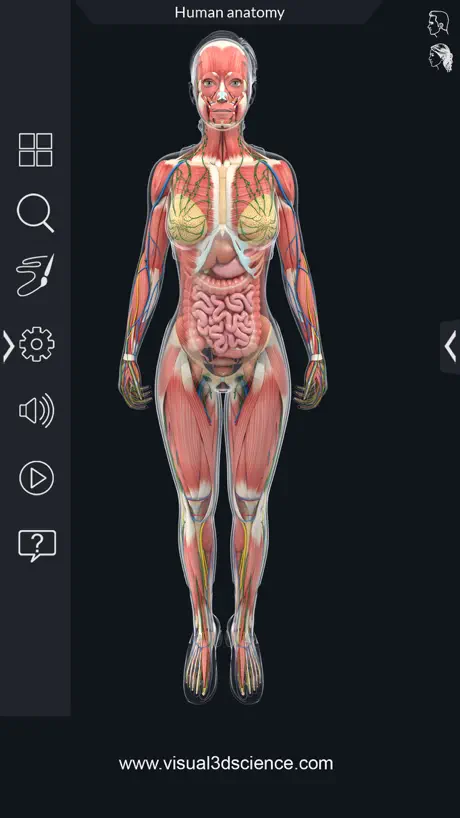 AR Human Anatomy