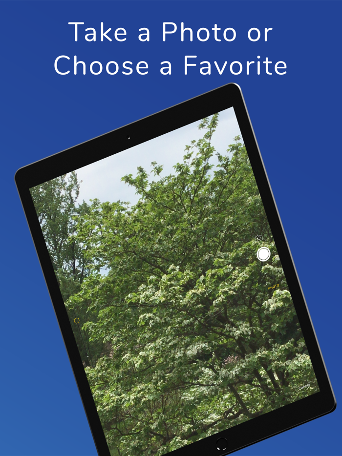 ZendaNote from Click2Mail