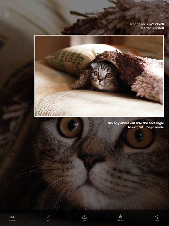 Live wallpapers - wallpaper hd iPad screenshot 9 - Utilities app