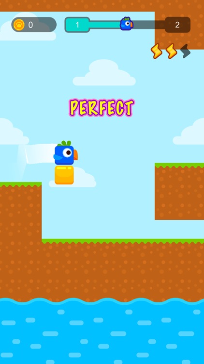 Square Bird Extreme