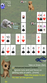 Rummy: K9 Shanghai Rum screenshot