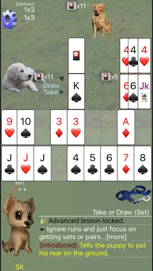 Rummy: K9 Shanghai Rum screenshot 4
