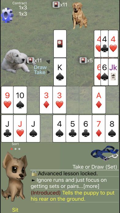 K9 Shanghai Rum: Phase Rummy Screenshot
