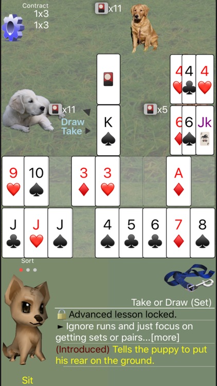 K9 Shanghai Rum: Phase Rummy screenshot-3