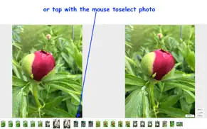smartphotosort iphone bildschirmfoto 3