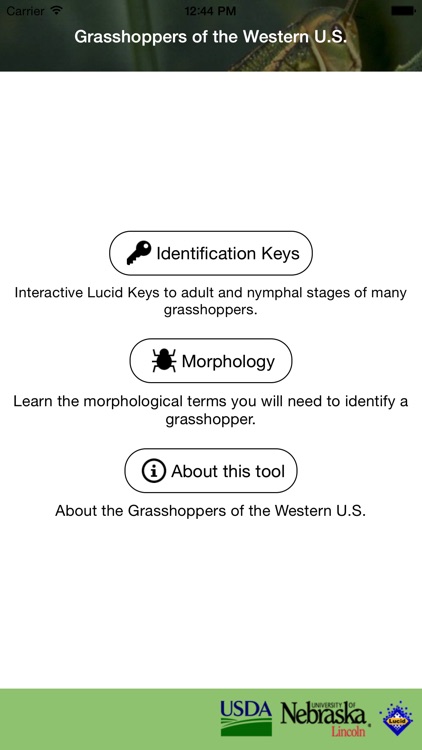 Grasshoppers of the Western US