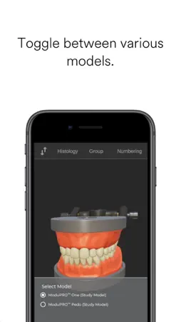 ToothView™ screenshot 3