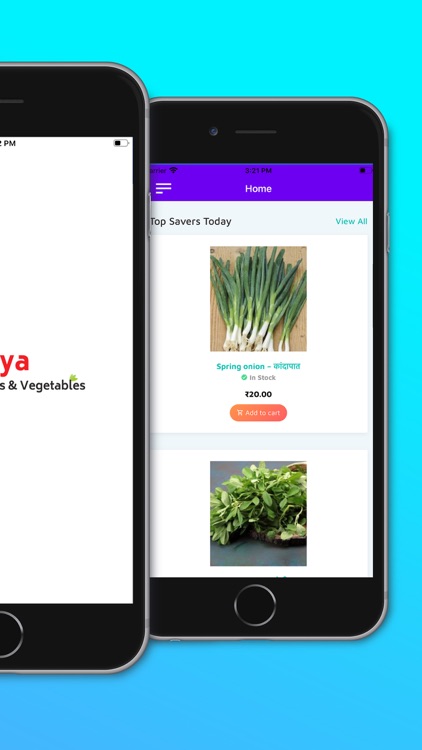 Arya Fruits & Vegetables screenshot-3