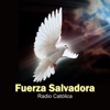 Fuerza Salvadora icon