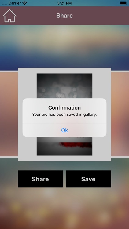 Blur Quick screenshot-4