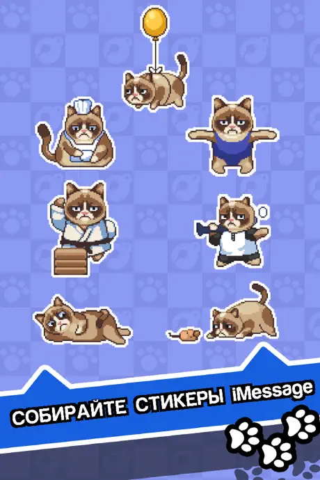 Сердитый Котик: ужасная игра