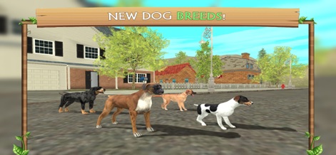 Dog Sim Online: Build A Family - La piattaforma espande costantemente le opzioni, presentando nuove razze come il Boxer e un Rottweiler (presunto), che si integrano perfettamente negli ambienti urbani dettagliati del gioco.