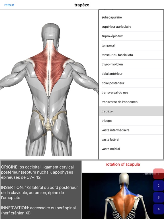 Screenshot #4 pour Anatomie Visuel