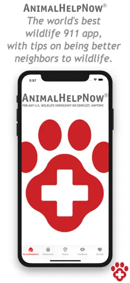 Game screenshot Animal Help Now mod apk