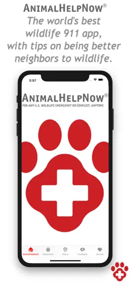 Game screenshot Animal Help Now mod apk