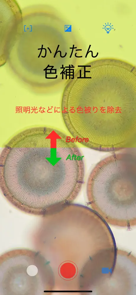 mScopePal