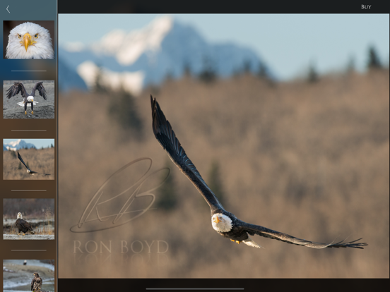 Nature and Wildlife Pictures iPad screenshot 6 - Photo & Video app
