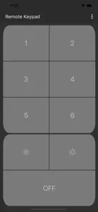 Remote Keypad screenshot #2 for iPhone