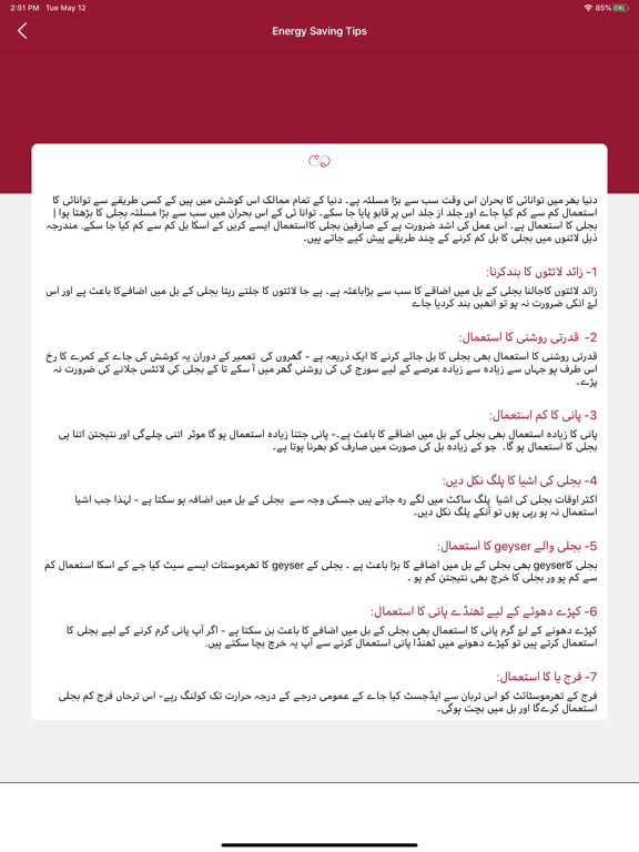 Wapda Bill Checker Online iPad screenshot
