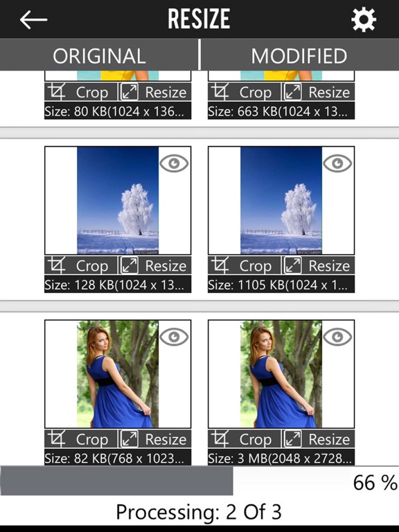 Screenshot #6 pour TinyPhoto: Convert Resize Crop