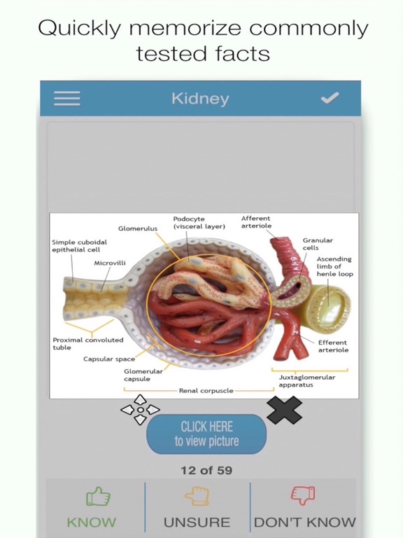 Screenshot #4 pour MCAT Biology Cram Cards