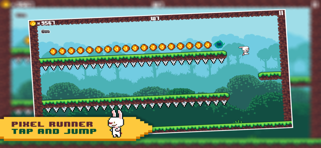 Rabbit Runner - Running Bunny